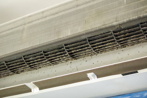 Best Home Air Vent Cleaning  in Rossmoyne, OH